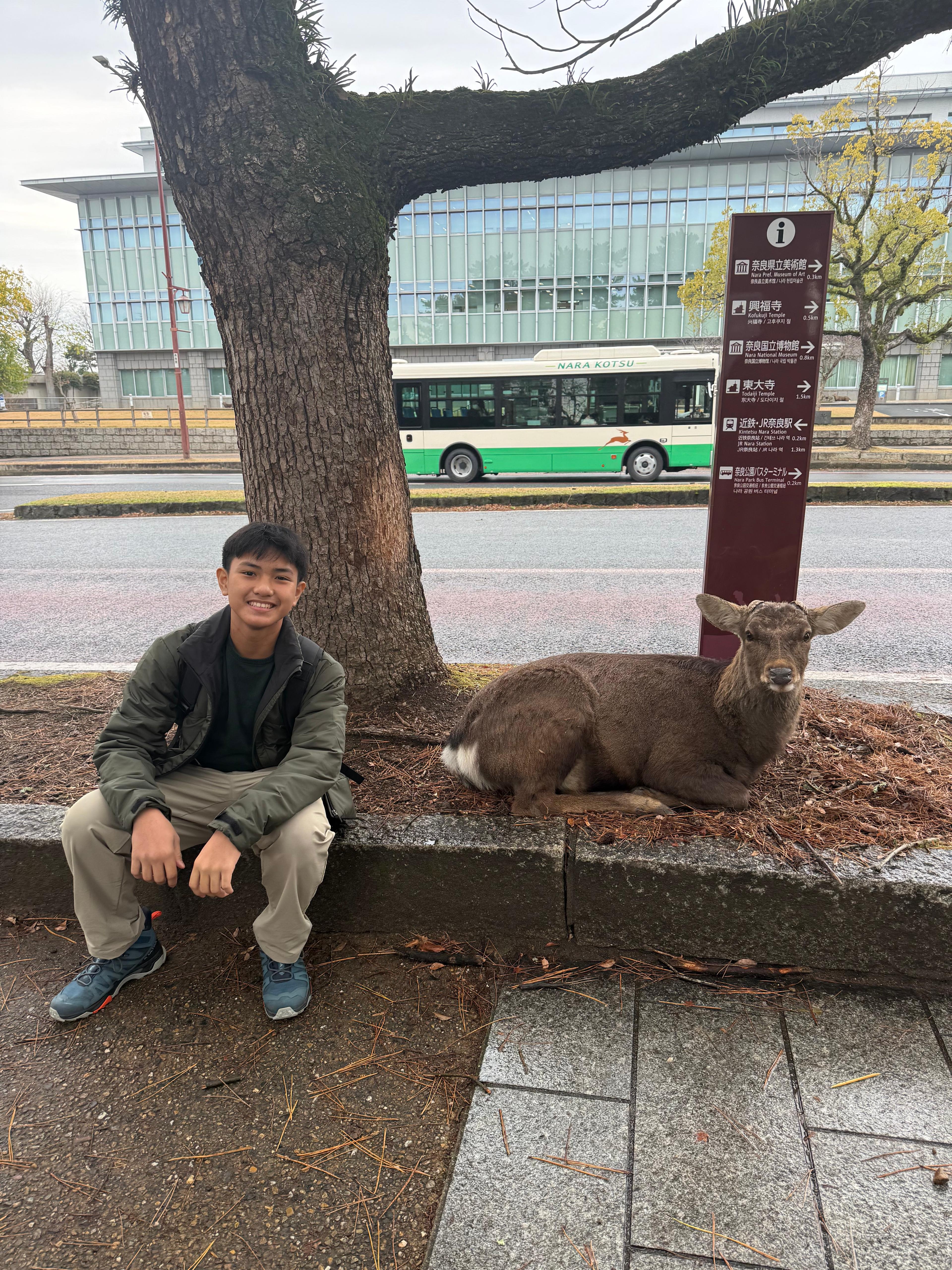 Deer